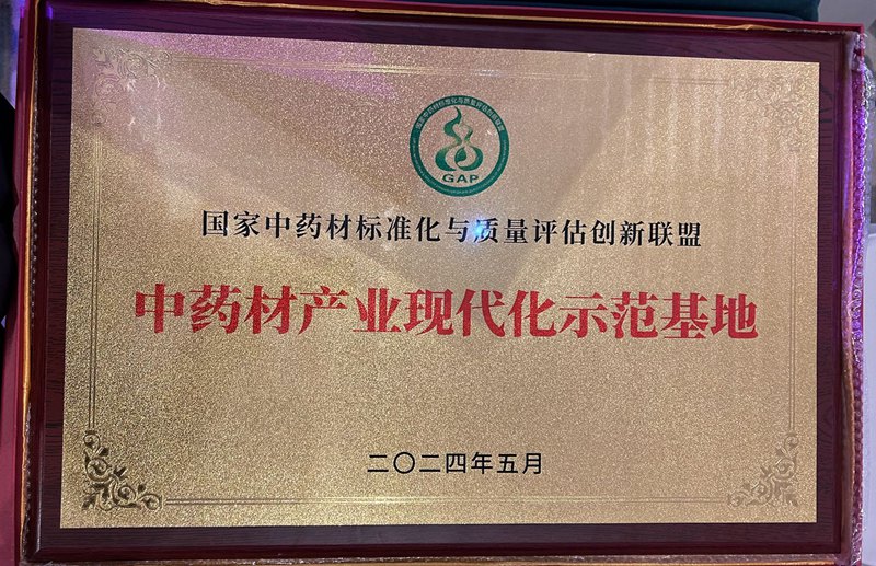 中藥產(chǎn)業(yè)現代化示范基地（2024）