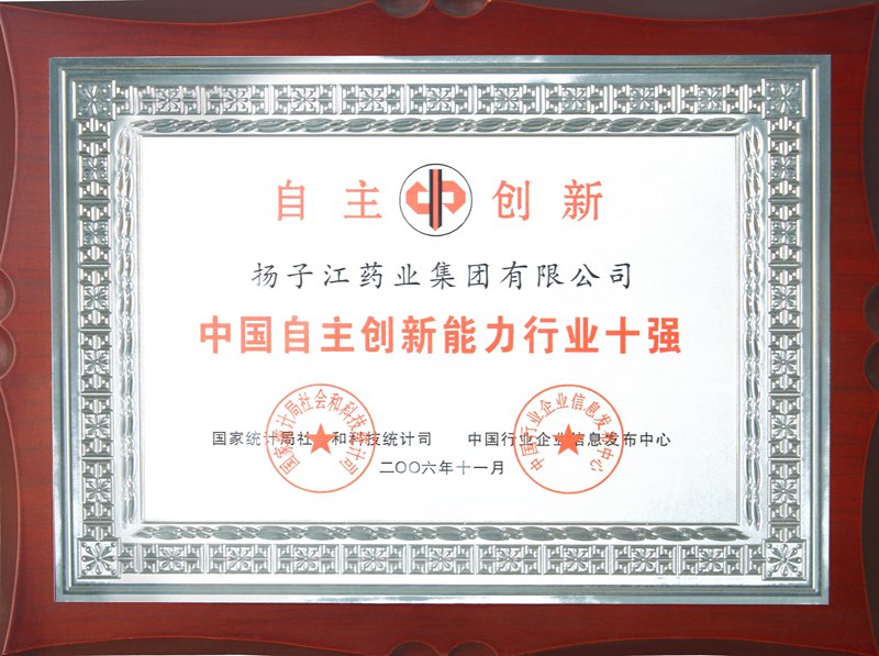 中國自主創(chuàng  )新能力行業(yè)十強（2006）