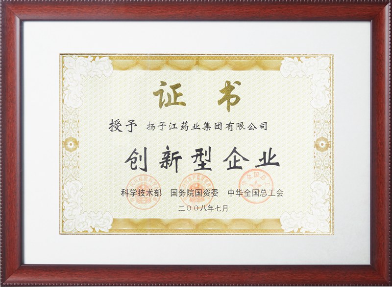 創(chuàng  )新型企業(yè)（2008）